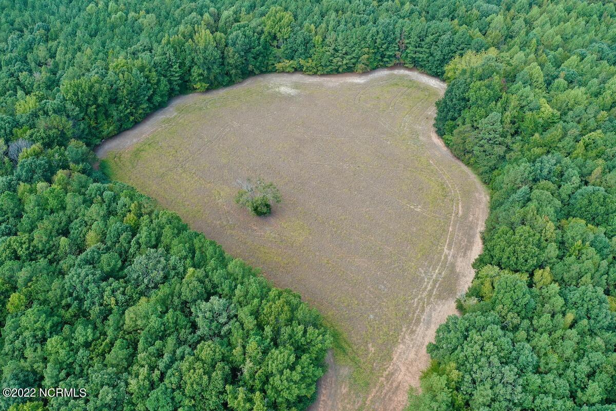 0 Peter Stallings Road Macon, NC 27551 - Photo 6 of 50 DJI_0849