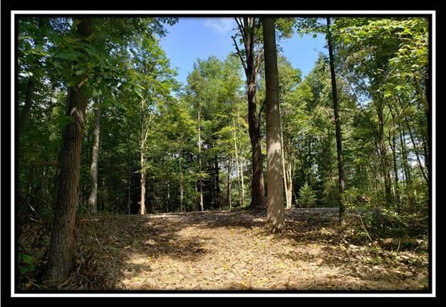 0 Pedigo Ridge Road, Unit TRACT 1) New Marshfield, OH 45766 - Photo 62 of 78 image062