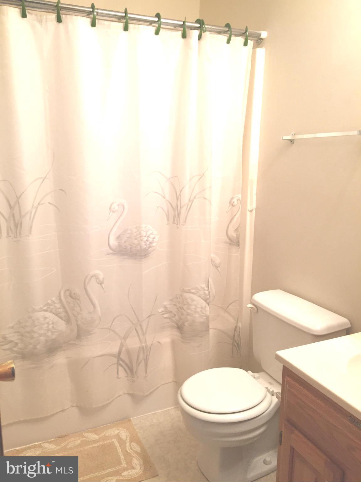 171 East Village Road Elkton, MD 21921 - Photo 11 of 12 Bath