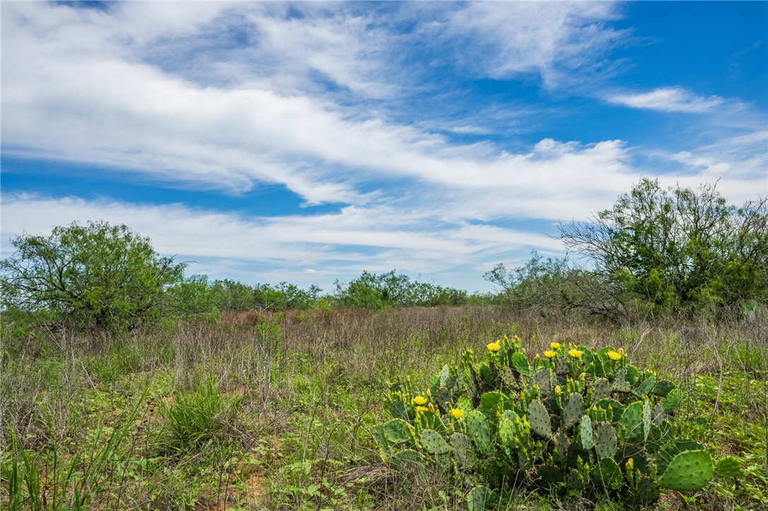 0 Fm 3249 Realitos, TX 78376 - Photo 8 of 12 a view of lake with plants and trees