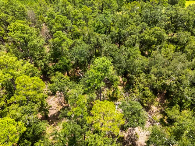 $335,000 | 529 Northeast Evergreen Avenue, Pinetta, FL 32350