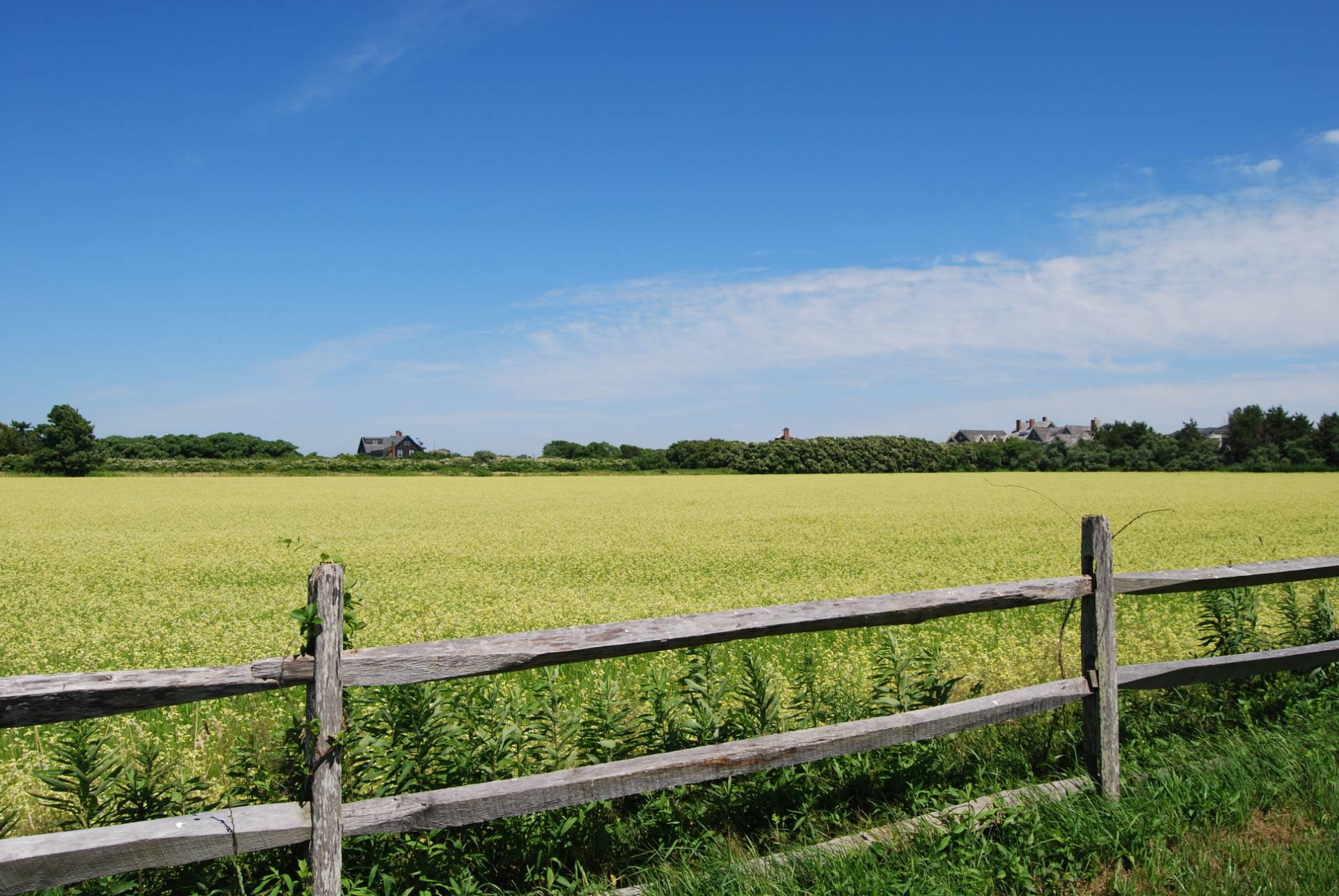 89 Sayre's Path Wainscott, NY 11975 - Photo 11 of 12 a view of a city and a lake view