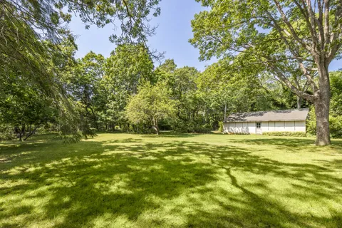 a view of a large yard with a large tree
