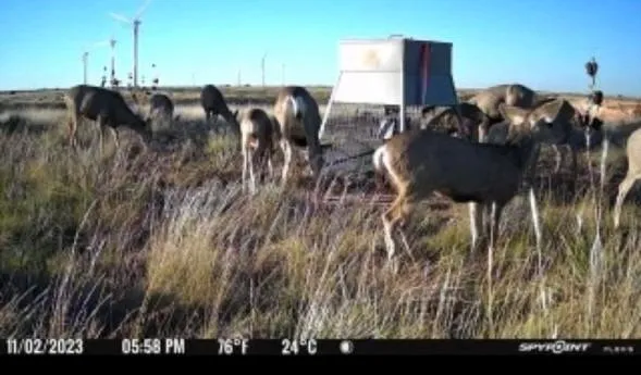 $895,000 | 397 County Road 160, Post, TX 79356