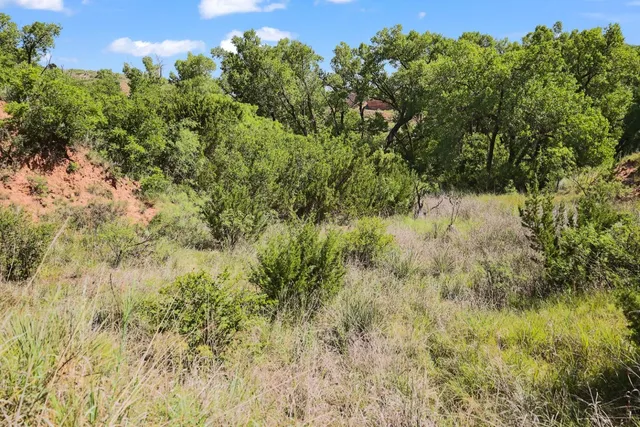 $895,000 | 397 County Road 160, Post, TX 79356