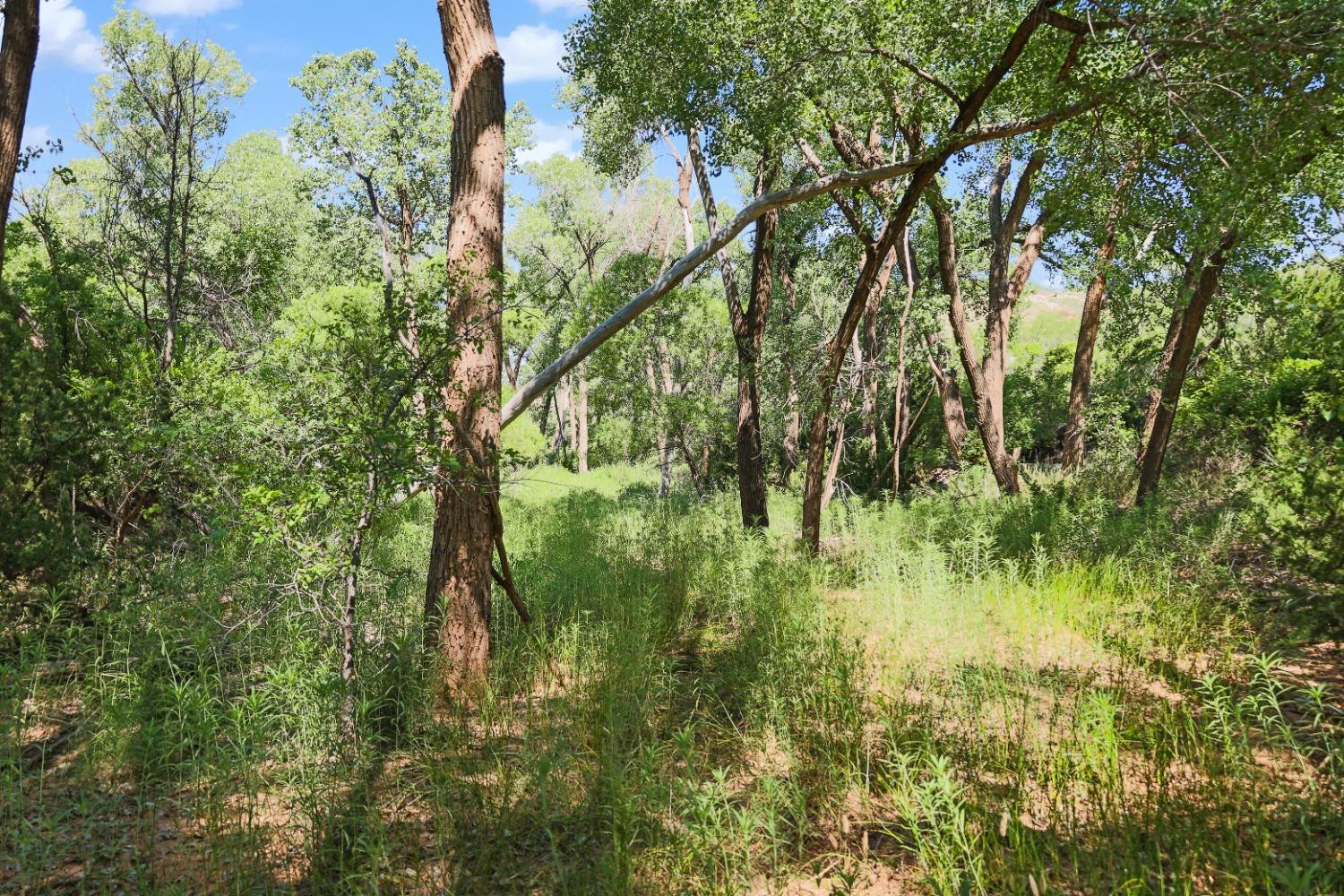 397 County Road 160 Post, TX 79356 - Photo 2 of 18 Photo 2