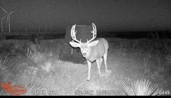 397 County Road 160 Post, TX 79356 - Photo 3 of 18 Photo 3