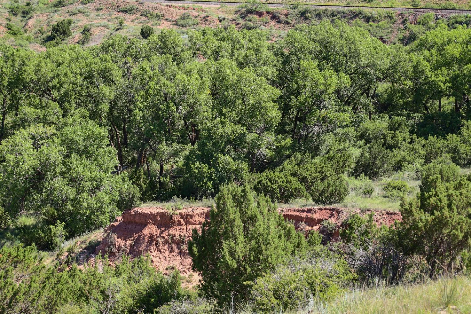 397 County Road 160 Post, TX 79356 - Photo 6 of 18 Photo 6