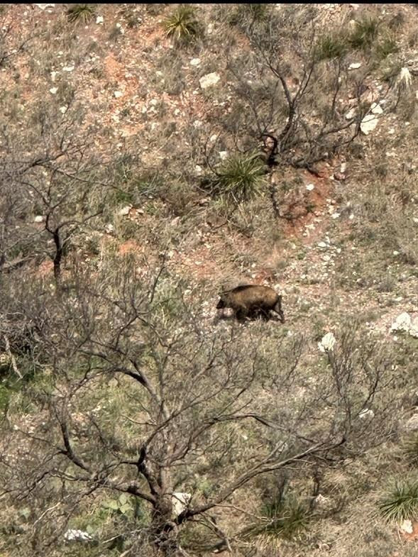 397 County Road 160 Post, TX 79356 - Photo 7 of 18 Photo 7