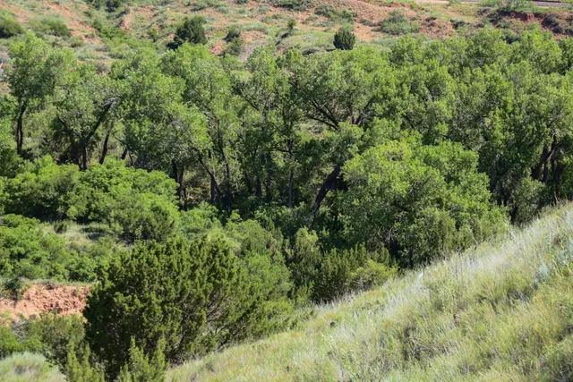 $895,000 | 397 County Road 160, Post, TX 79356