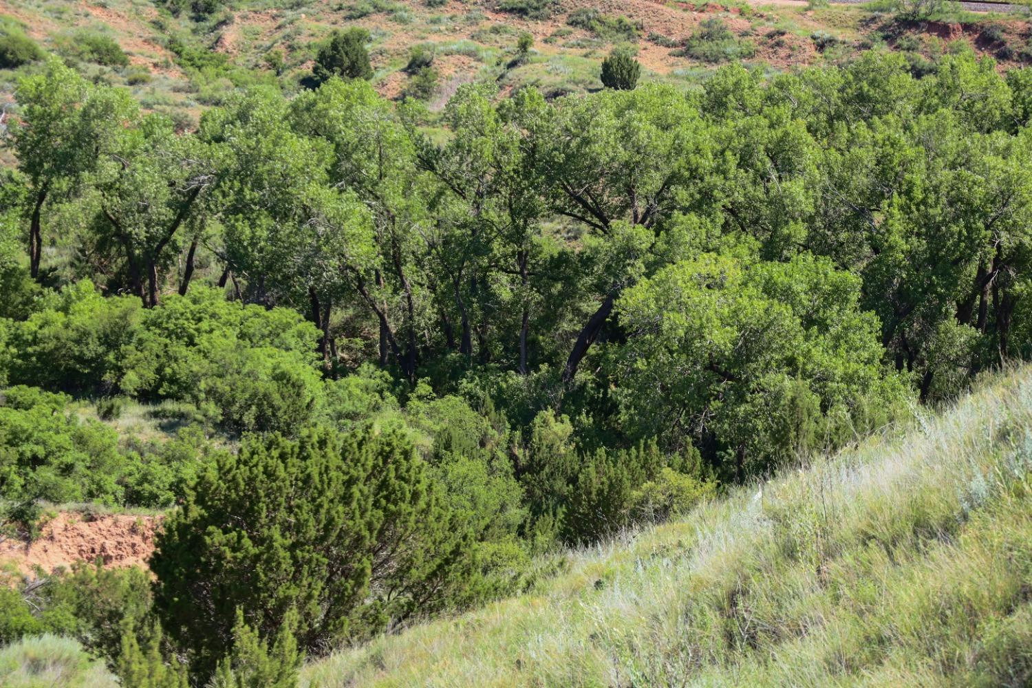 397 County Road 160 Post, TX 79356 - Photo 8 of 18 Photo 8