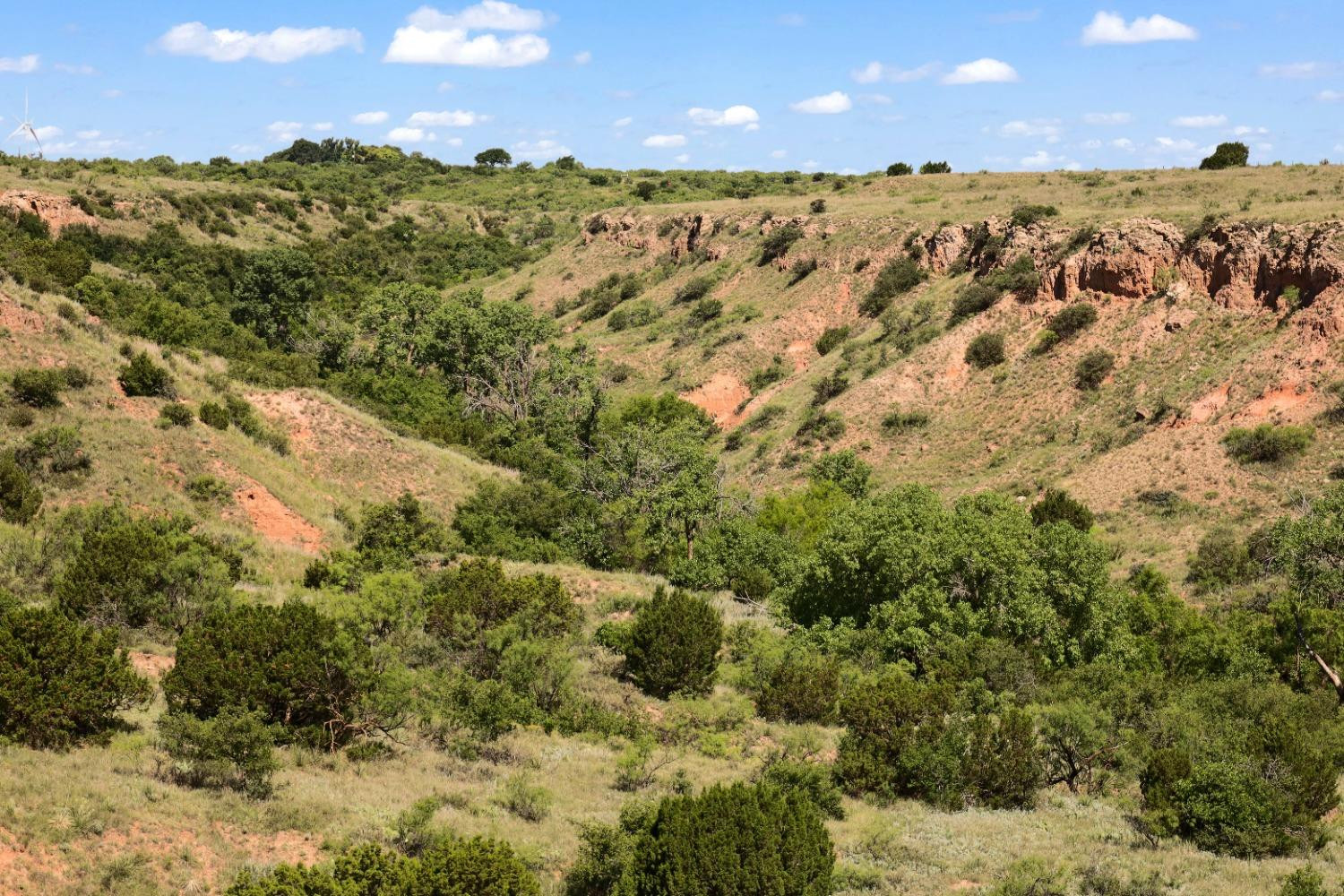 397 County Road 160 Post, TX 79356 - Photo 10 of 18 Photo 10