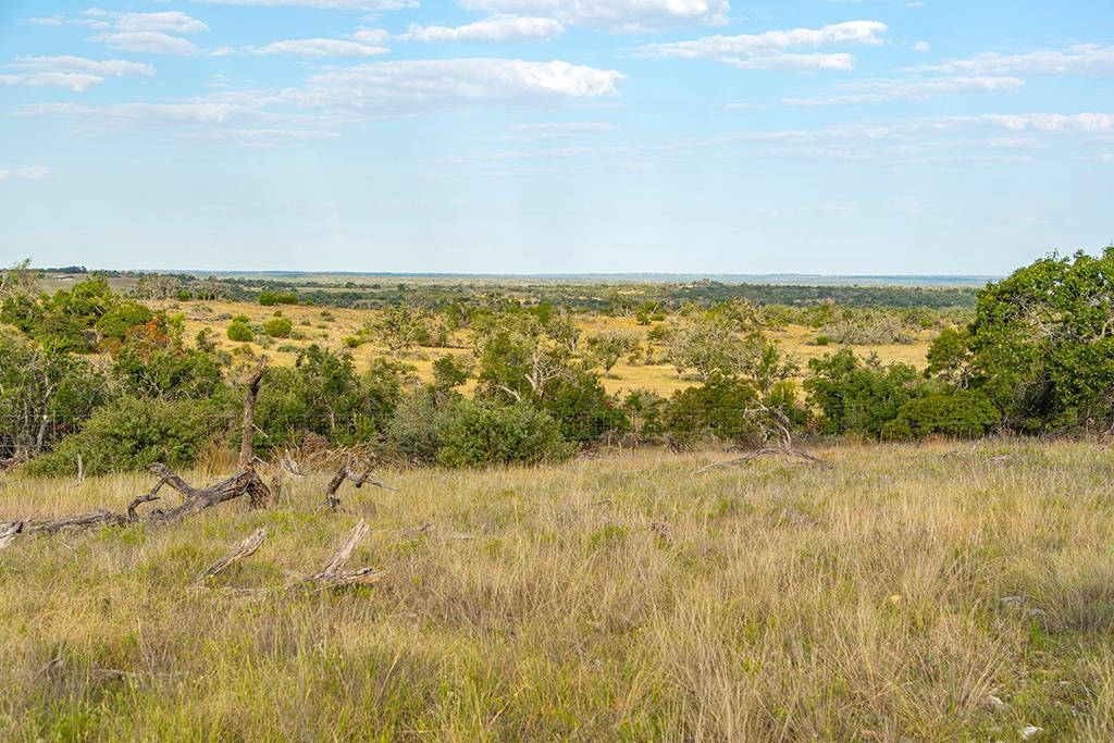 4551 Reeh Road Fredericksburg, TX 78624 - Photo 19 of 69 Gallery Image 19