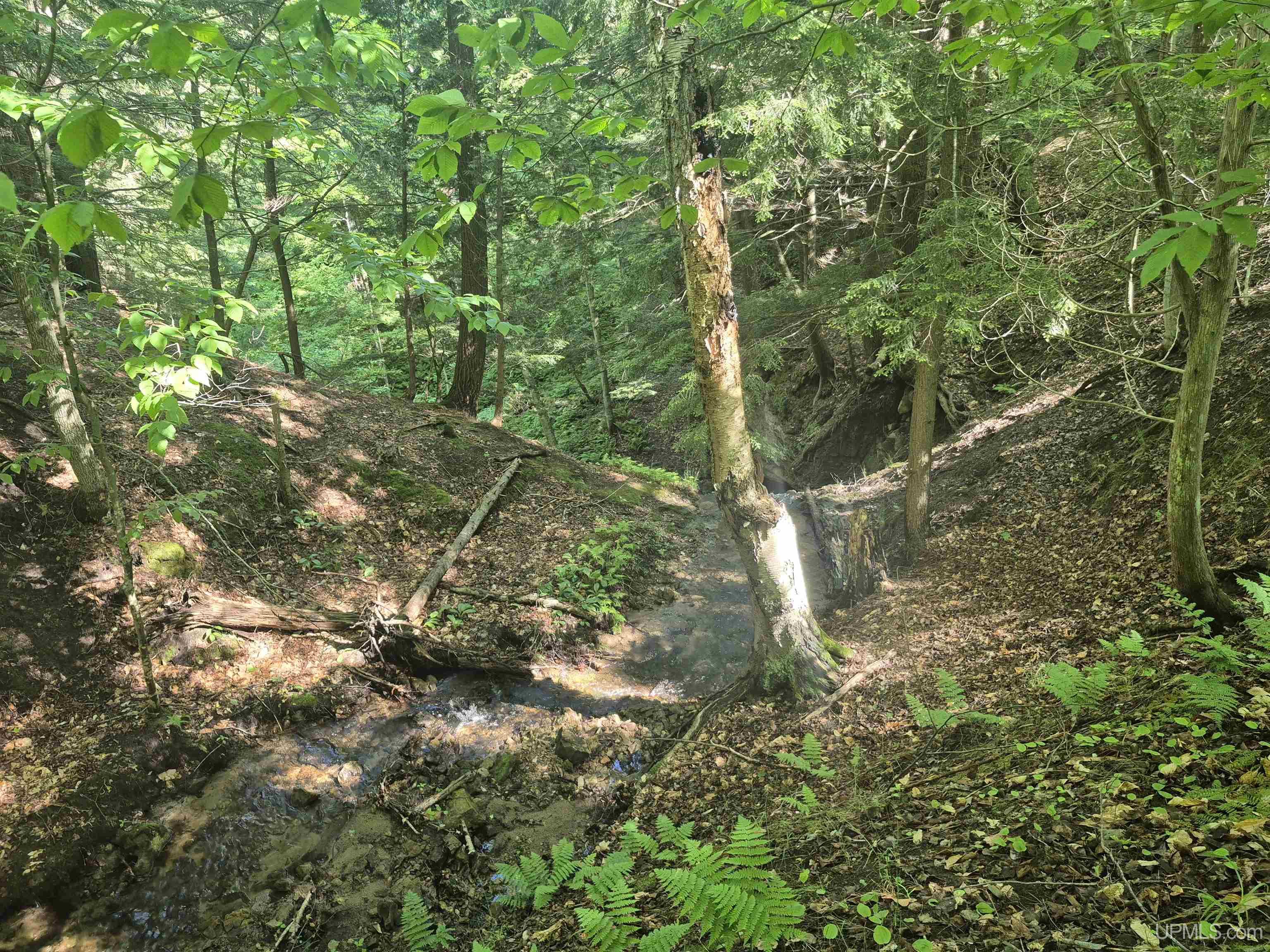 8-acres Nestor Road Munising, MI 49862 - Photo 23 of 43