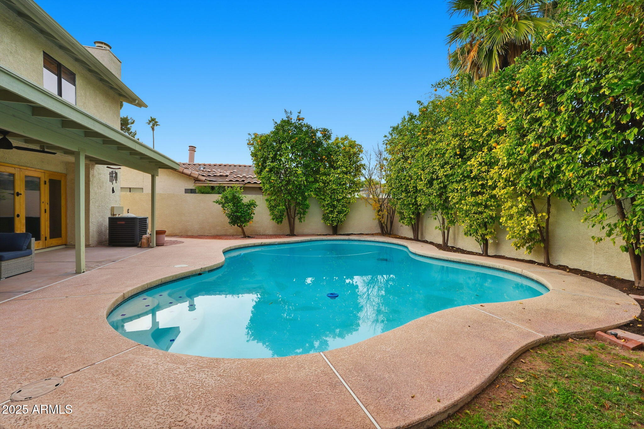 1608 East Edgewater Drive Tempe, AZ 85283 - Photo 45 of 47 a view of a swimming pool with a yard