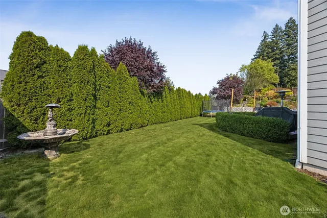 a view of a backyard with plants and trees