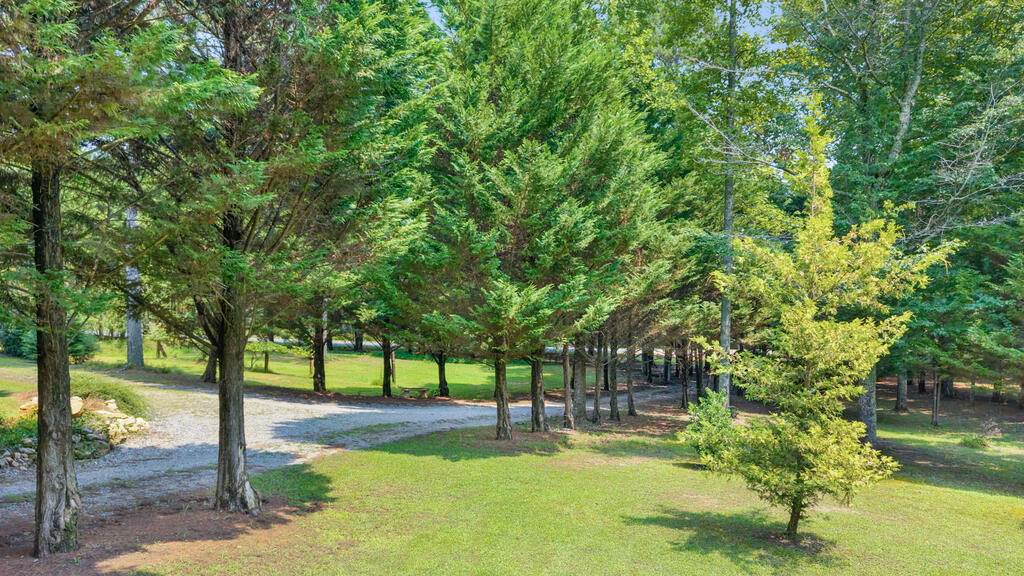 2064 Knight Road Ellijay, GA 30540 - Photo 60 of 64 Gallery Image 60