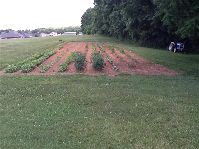 3441 Pleasant Grove Road White House, TN 37188 - Photo 20 of 20 Large garden space in backyard.