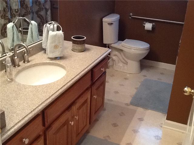 3441 Pleasant Grove Road White House, TN 37188 - Photo 10 of 20 Full hall bath on main floor. New quartz counter tops and bath fixtures.