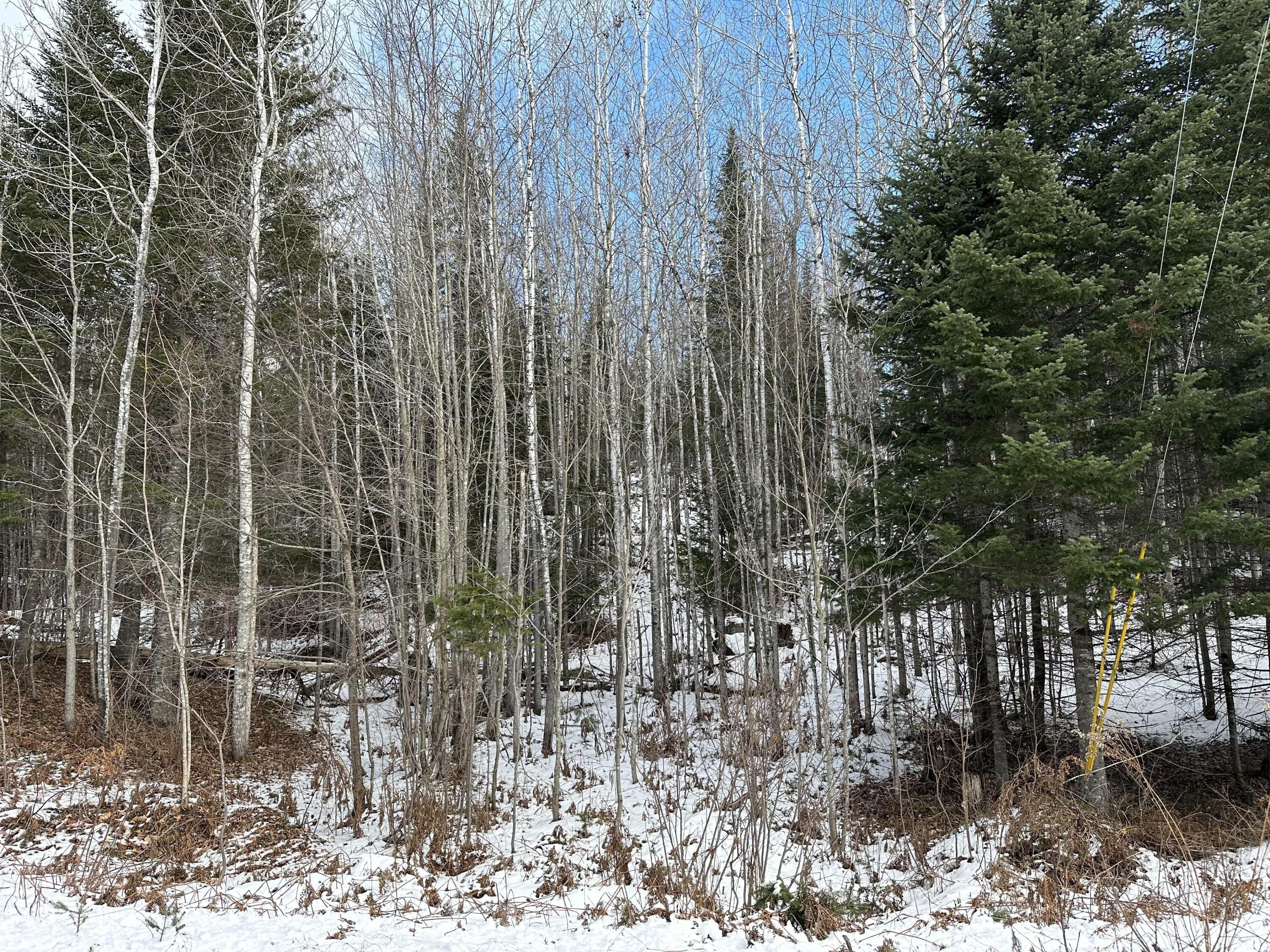 Lot 7-3 Lander Farm Road Stratton, ME 04982 - Photo 17 of 30 received_1996813590703728_result