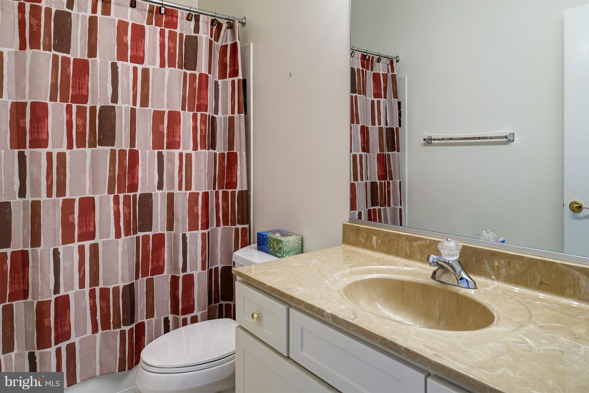 10316 Forest Maple Road Vienna, VA 22182 - Photo 26 of 30 Bath in basement