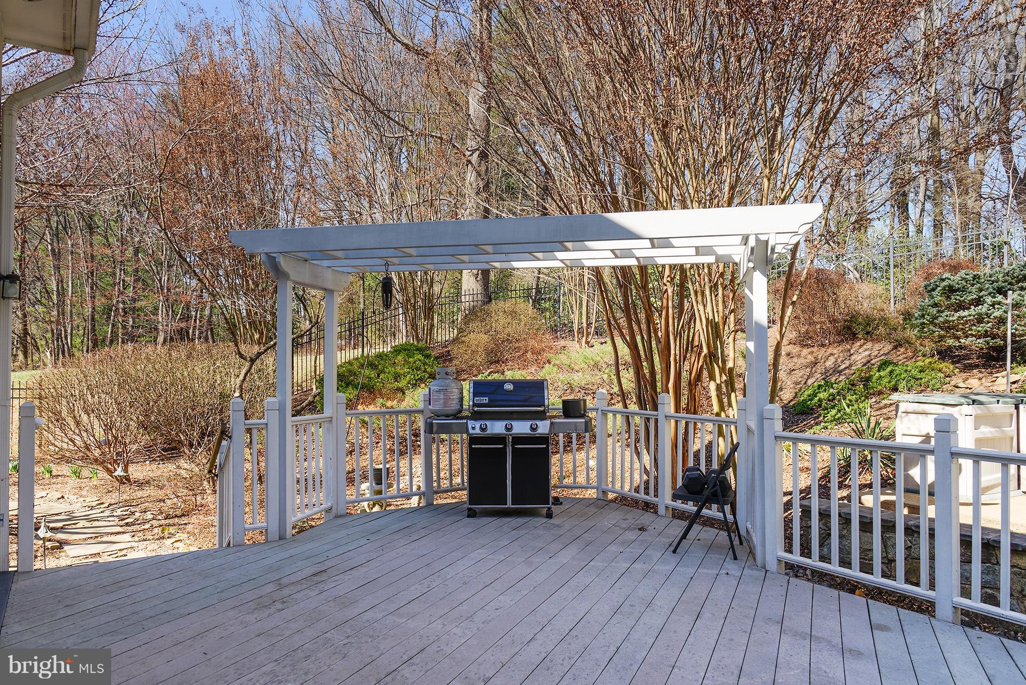 10316 Forest Maple Road Vienna, VA 22182 - Photo 29 of 30 Exterior (Rear)