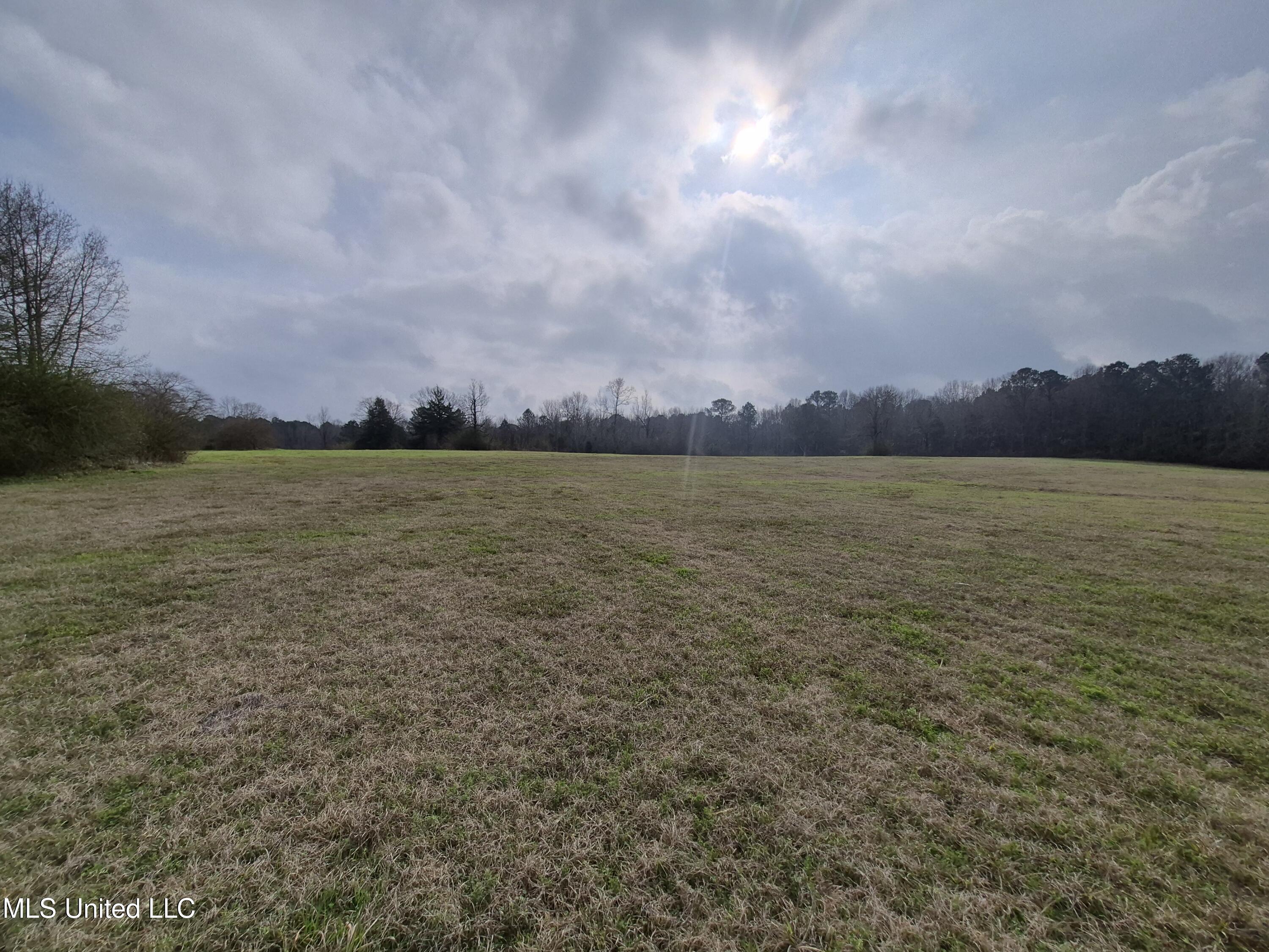 Pine Grove Road Walnut Grove, MS 39189 - Photo 3 of 9 7709