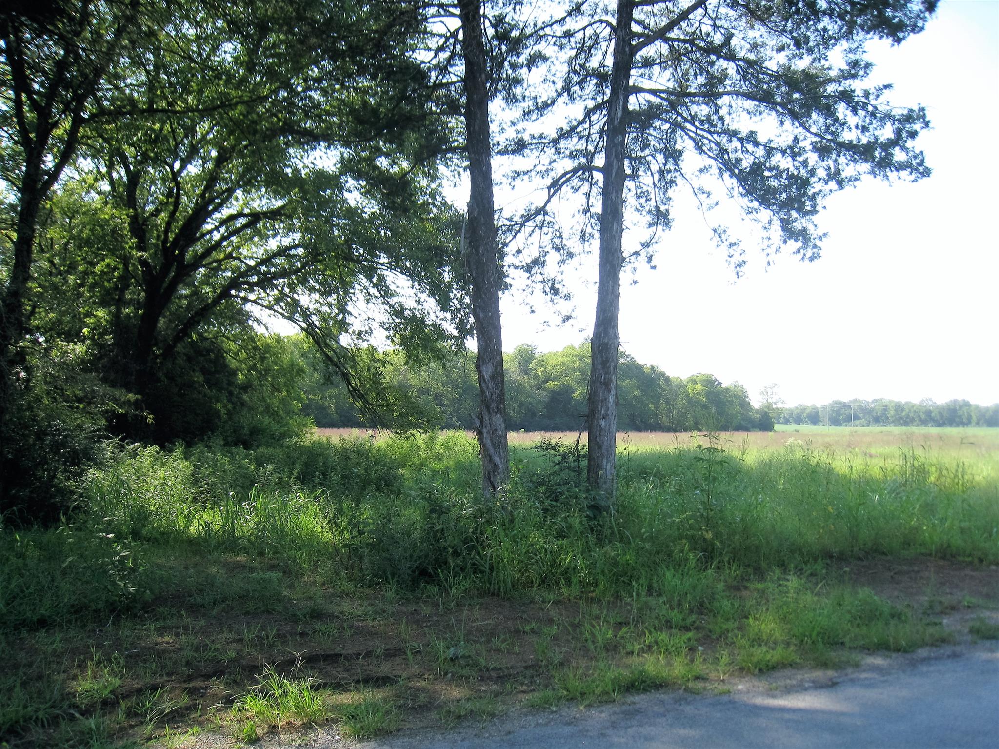 7 Pyles Road Chapel Hill, TN 37034 - Photo 2 of 5 Gallery Image 2