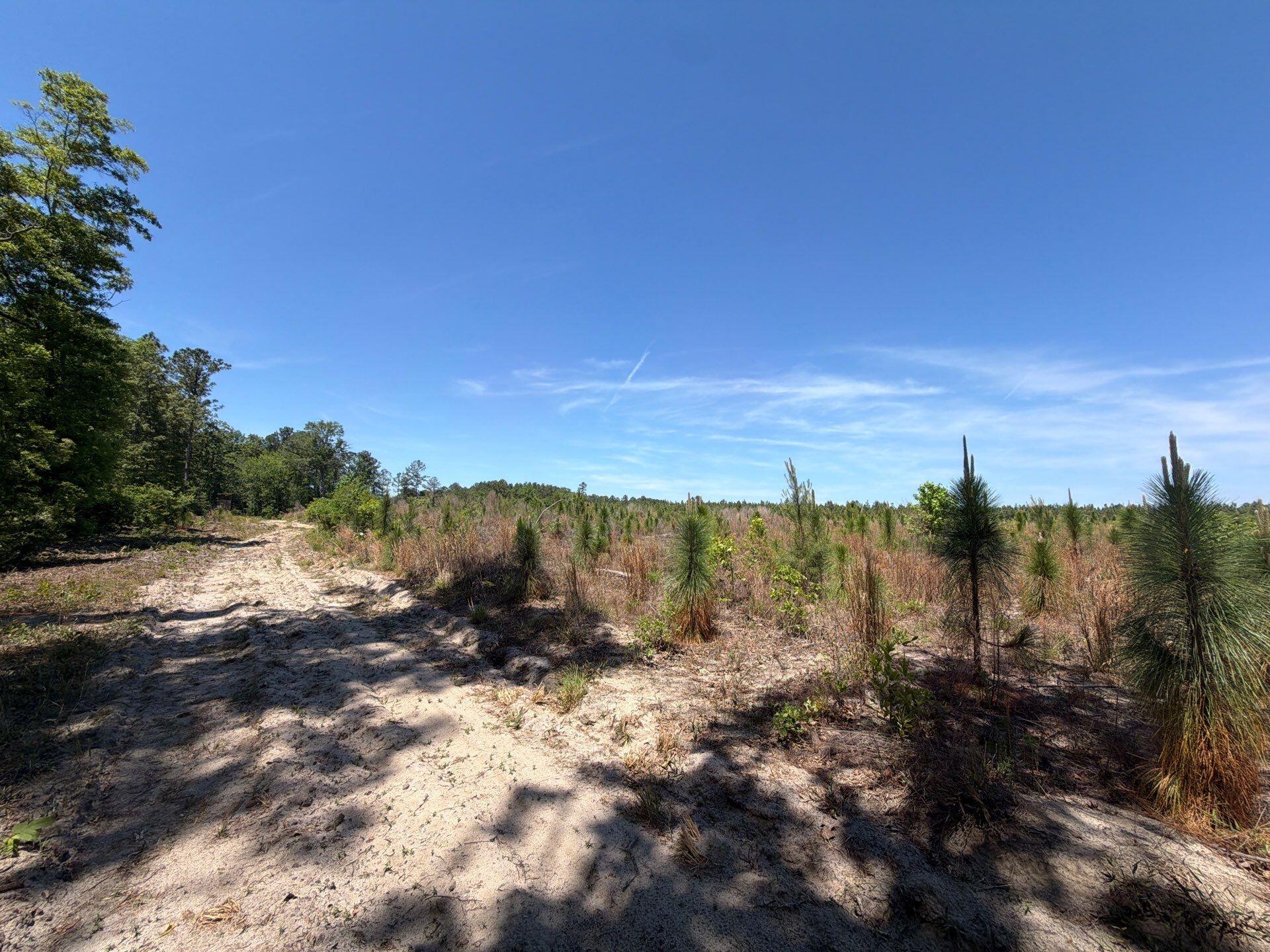 1 Holstein Road, Unit HRF 1 Wagener, SC 29164 - Photo 31 of 39