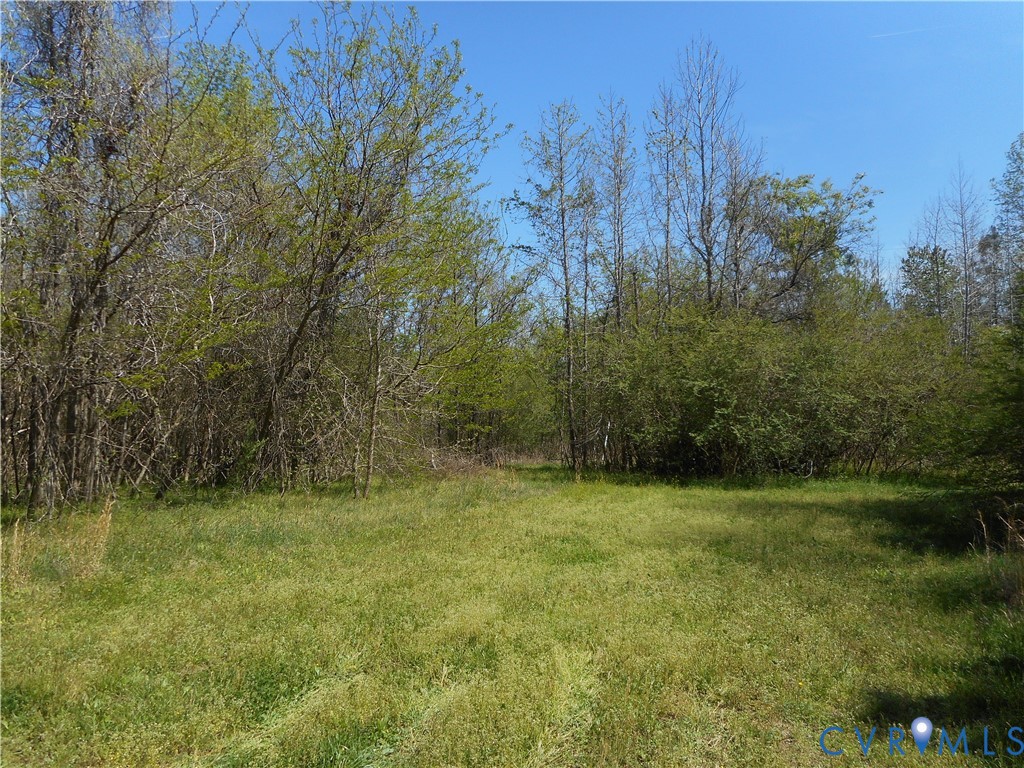 6016 Grubby Road Wilsons, VA 23894 - Photo 1 of 3
