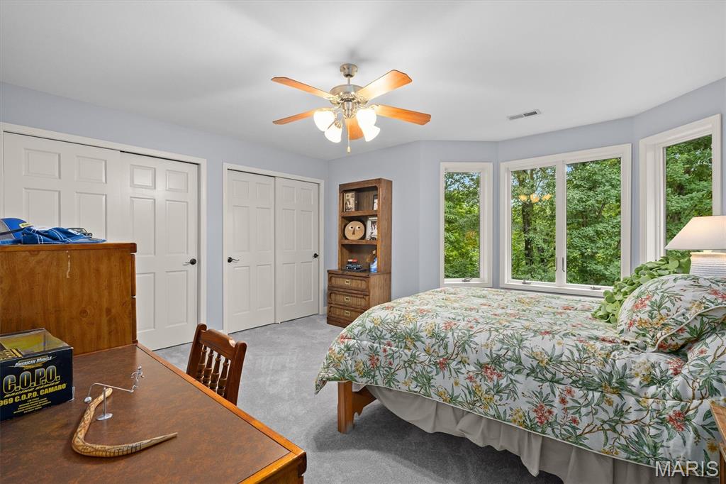 694 Pleasant Ridge Road Fairview Heights, IL 62208 - Photo 30 of 59