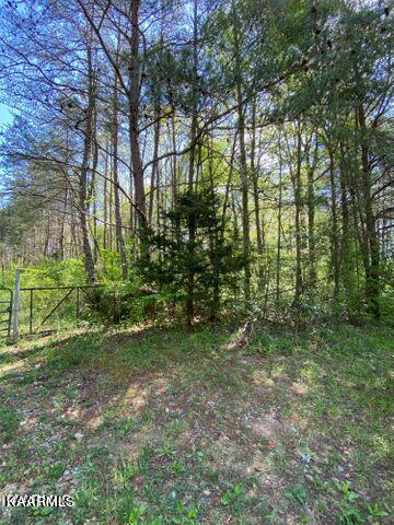 21 York Road Crossville, TN 38555 - Photo 1 of 41 19 6