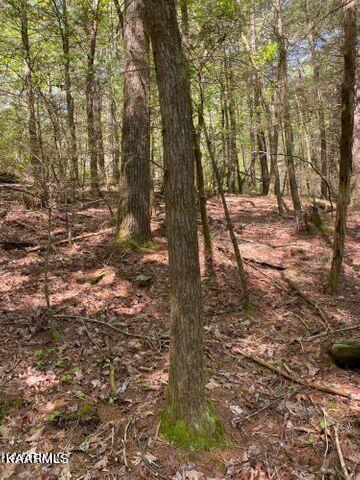 21 York Road Crossville, TN 38555 - Photo 15 of 41 19 15