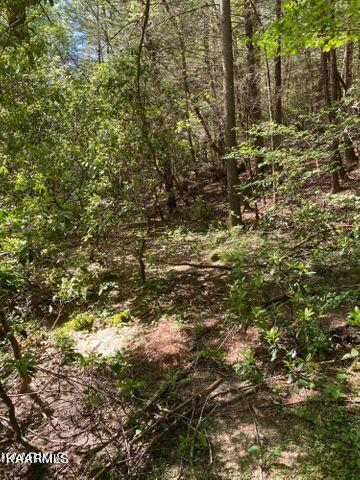 21 York Road Crossville, TN 38555 - Photo 19 of 41 19 19