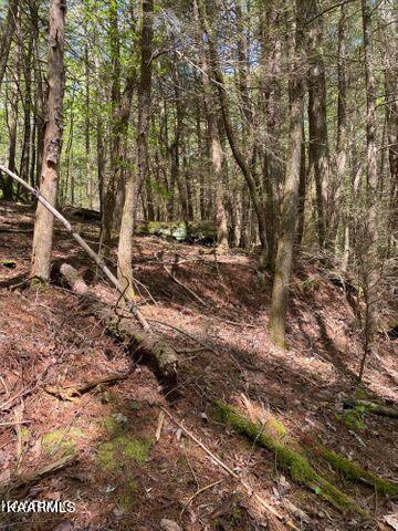 21 York Road Crossville, TN 38555 - Photo 20 of 41 19 20