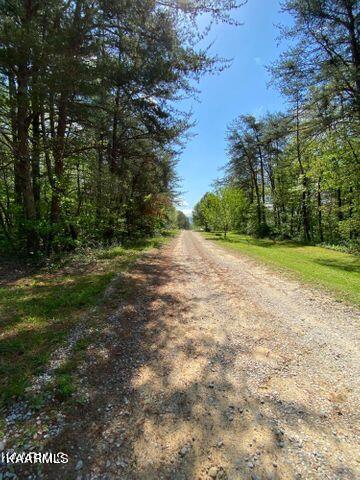 21 York Road Crossville, TN 38555 - Photo 2 of 41 19 1