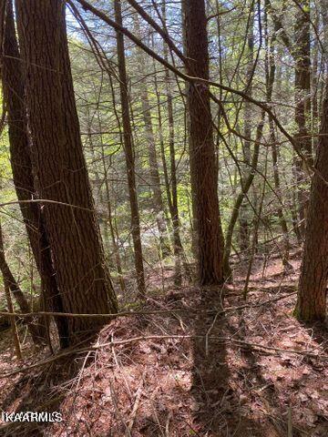 21 York Road Crossville, TN 38555 - Photo 23 of 41 19 23