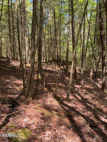 21 York Road Crossville, TN 38555 - Photo 30 of 41 19 30