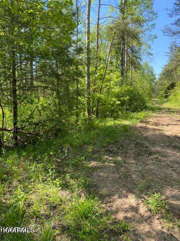 21 York Road Crossville, TN 38555 - Photo 3 of 41 19 2