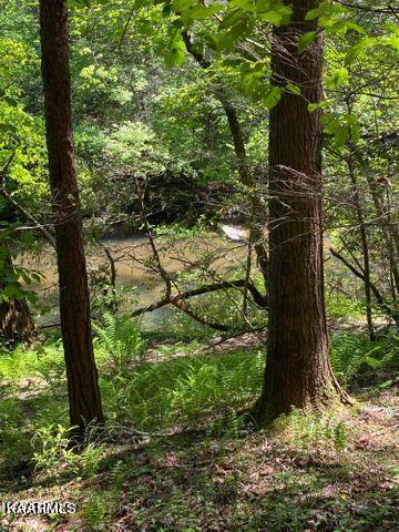 21 York Road Crossville, TN 38555 - Photo 33 of 41 19 34