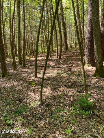 21 York Road Crossville, TN 38555 - Photo 34 of 41 19 35