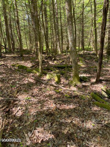 21 York Road Crossville, TN 38555 - Photo 38 of 41 19 39