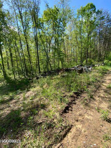 21 York Road Crossville, TN 38555 - Photo 4 of 41 19 3