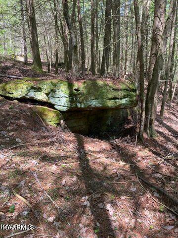 21 York Road Crossville, TN 38555 - Photo 41 of 41 19 42
