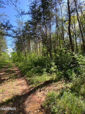 21 York Road Crossville, TN 38555 - Photo 5 of 41 19 4