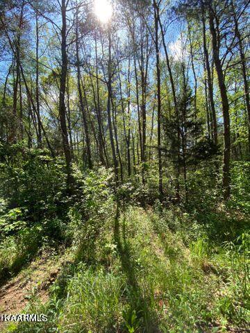 21 York Road Crossville, TN 38555 - Photo 6 of 41 19 5