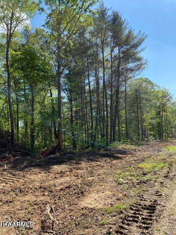 21 York Road Crossville, TN 38555 - Photo 7 of 41 19 7