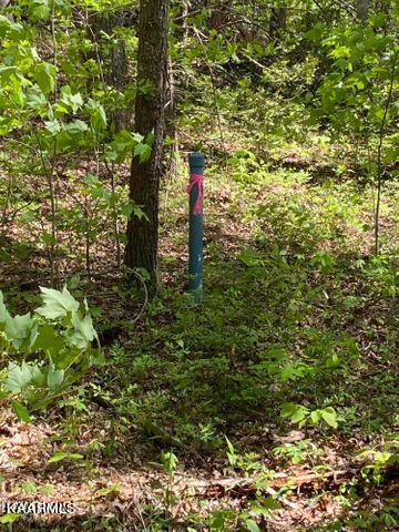 21 York Road Crossville, TN 38555 - Photo 8 of 41 19 8