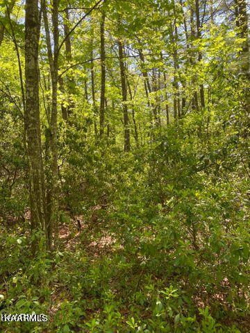 21 York Road Crossville, TN 38555 - Photo 9 of 41 19 9