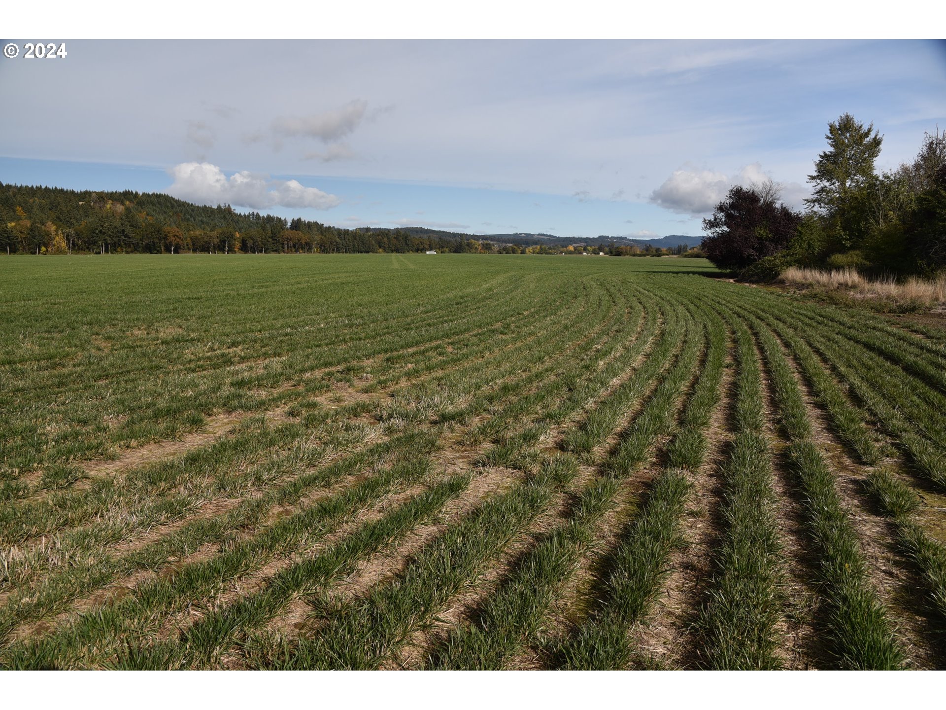 9375 Steel Bridge Road Sheridan, OR 97378 - Photo 4 of 13 Gallery Image 4